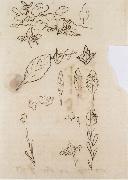 Johann Wolfgang von Goethe Leaf shapes oil on canvas